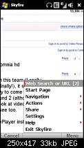 Skyfire 1.0-screen26-kopie.jpg