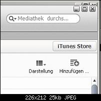 [iTunes 11] Fenster grösse passt nicht-benutzerdefinierte-ansicht.jpg