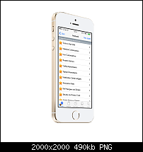 Tutorial: Wie finde ich etwas in Cydia?-2_iphone5s_gold_side1.png
