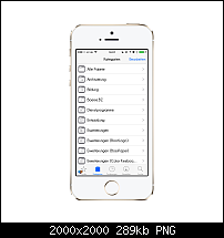 Tutorial: Wie finde ich etwas in Cydia?-4_iphone5s_gold_portrait.png