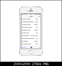 Tutorial: Wie Dupliziere ich Apps?-11_iphone5s_silver_portrait.png