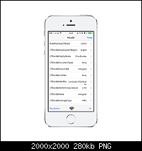 Tutorial: Wie Dupliziere ich Apps?-14_iphone5s_silver_portrait.png