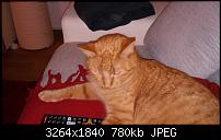 zeigt her eure Fotos-20140127_002.jpg