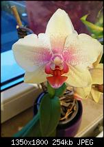 LG G3 - Fotoqualität-uploadfromtaptalk1404310510455.jpg