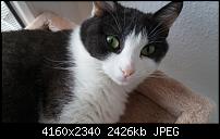 LG G3 - Fotoqualität-20140630_193258.jpg