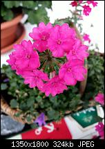 LG G3 - Fotoqualität-uploadfromtaptalk1404582406239.jpg