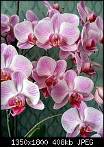 LG G3 - Fotoqualität-uploadfromtaptalk1404721420860.jpg