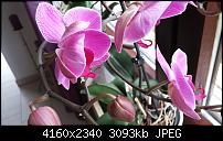 LG G3 - Fotoqualität-20140705_110321.jpg