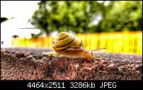 #TesteG4 - Offizieller LG Endkundentest des neuen G4-20150618_191910-01.jpeg