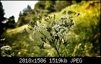 #TesteG4 - Offizieller LG Endkundentest des neuen G4-20150613_180459-01-01.jpeg