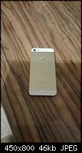 iPhone 5s gold-imageuploadedbytapatalk1403975379.380531.jpg
