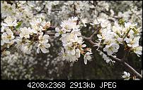 Lumia 640 (XL) Kameraqualität / Bilderthread-wp_20150425_12_03_43_pro.jpg