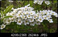 Lumia 640 (XL) Kameraqualität / Bilderthread-wp_20150425_15_24_54_pro.jpg