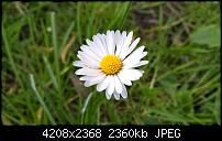 Lumia 640 (XL) Kameraqualität / Bilderthread-wp_20150425_15_32_07_pro.jpg