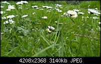 Lumia 640 (XL) Kameraqualität / Bilderthread-wp_20150425_15_38_35_pro.jpg