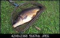 Lumia 640 (XL) Kameraqualität / Bilderthread-wp_20150927_14_03_29_pro.jpg