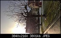 Kamera des Lumia 950 / 950 XL-wp_20151128_14_41_39_rich.jpg