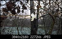 Kamera des Lumia 950 / 950 XL-wp_20151128_14_47_11_pro.jpg