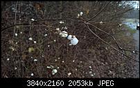 Kamera des Lumia 950 / 950 XL-wp_20151128_14_50_09_rich.jpg