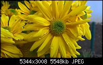 Kamera des Lumia 950 / 950 XL-2_950xl.jpg