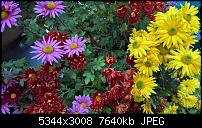 Kamera des Lumia 950 / 950 XL-3_950xl.jpg