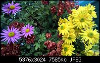 Kamera des Lumia 950 / 950 XL-3_1520.jpg