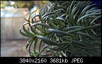 Kamera des Lumia 950 / 950 XL-wp_20151203_14_47_40_raw_li.jpg