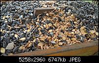 Kamera des Lumia 950 / 950 XL-wp_20151205_15_44_26_rich_li.jpg