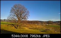 Kamera des Lumia 950 / 950 XL-wp_20151206_13_36_28_pro_li.jpg