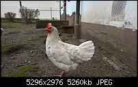 Kamera des Lumia 950 / 950 XL-wp_20151206_14_07_54_rich.jpg