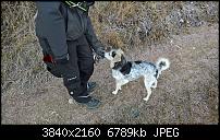 Kamera des Lumia 950 / 950 XL-wp_20151211_14_15_46_rich_li.jpg