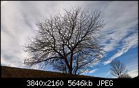 Kamera des Lumia 950 / 950 XL-wp_20151212_12_47_43_rich_li.jpg