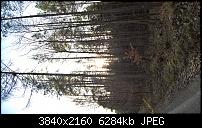 Kamera des Lumia 950 / 950 XL-wp_20151226_13_23_44_rich_li.jpg