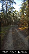 Kamera des Lumia 950 / 950 XL-wp_20151226_13_38_28_rich_li.jpg