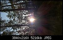 Kamera des Lumia 950 / 950 XL-wp_20151226_13_38_39_rich_li.jpg