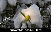 Kamera des Lumia 950 / 950 XL-wp_20160118_10_53_19_raw_li.jpg