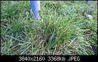 Kamera des Lumia 950 / 950 XL-wp_20160129_10_27_30_rich.jpg