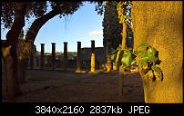 Kamera des Lumia 950 / 950 XL-wp_20160213_16_44_22_raw.jpg