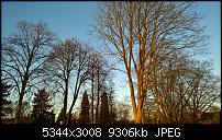 Kamera des Lumia 950 / 950 XL-wp_20160216_08_15_34_rich.jpg