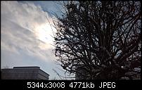 Kamera des Lumia 950 / 950 XL-wp_20160301_13_04_26_pro.jpg