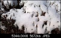 Kamera des Lumia 950 / 950 XL-wp_20160301_13_04_48_pro.jpg