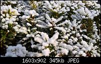 Kamera des Lumia 950 / 950 XL-wp_20160122_14_26_09_pro.jpg