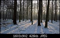 Kamera des Lumia 950 / 950 XL-wp_20160122_14_50_46_pro.jpg