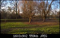 Kamera des Lumia 950 / 950 XL-wp_20160129_16_27_40_pro.jpg