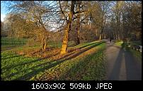 Kamera des Lumia 950 / 950 XL-wp_20160129_16_27_50_pro.jpg