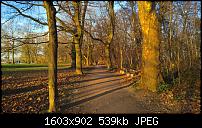 Kamera des Lumia 950 / 950 XL-wp_20160129_16_34_17_pro.jpg