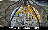 Kamera des Lumia 950 / 950 XL-wp_20160308_17_25_13_rich.jpg