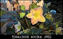 Kamera des Lumia 950 / 950 XL-wp_20160308_17_27_02_pro.jpg