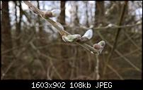 Kamera des Lumia 950 / 950 XL-wp_20160212_14_17_13_pro.jpg