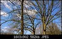 Kamera des Lumia 950 / 950 XL-wp_20160227_14_19_53_pro.jpg